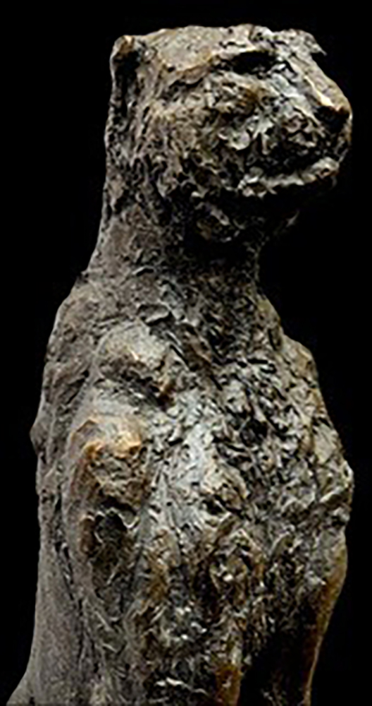 MBC-MYRIAM BONIAS COENCAS