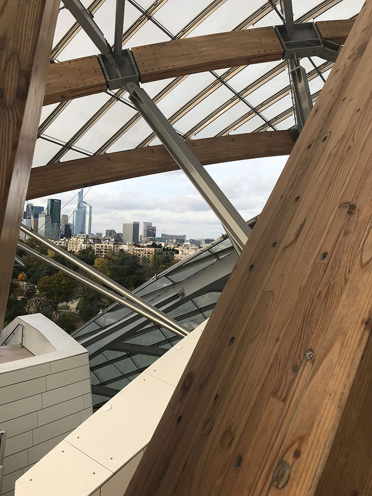 SHAKIBA-BORNSTEIN FARINAZ