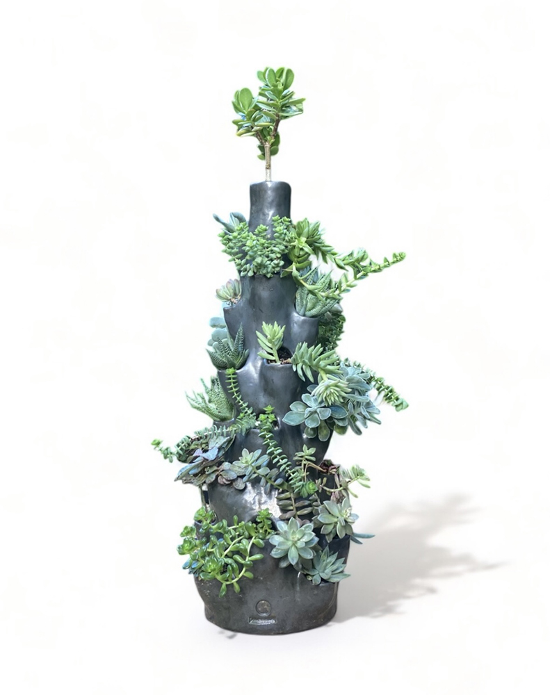 GABRIEL BEGHI DESIGN