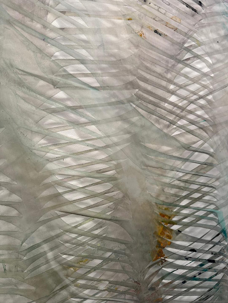 GARZA NARANJO GRACIELA